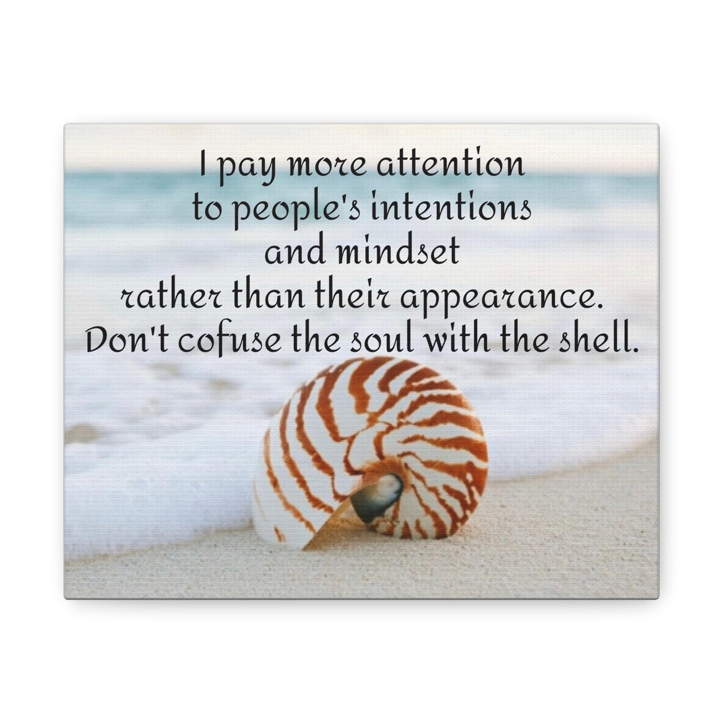 Shell Canvas- Angel Feathers Original, Southern Sass Collections. Canvas Gallery Wraps