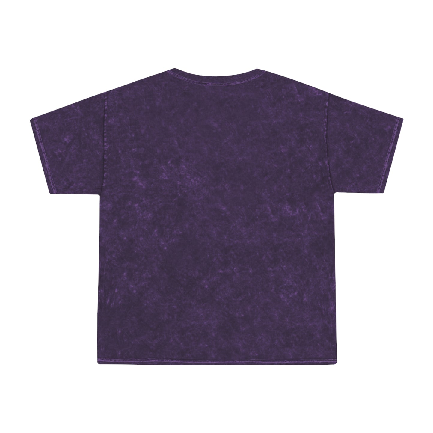 Our Heroes Collection - One Nation - Mineral Wash T-Shirt