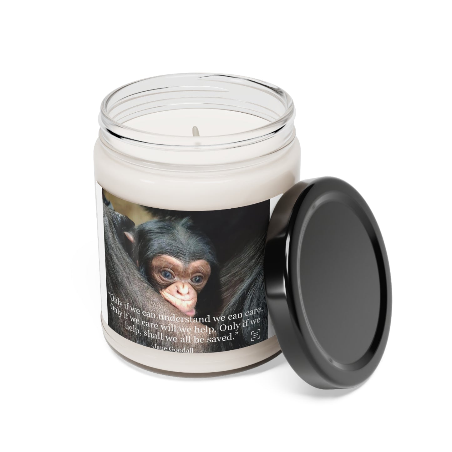 Angel Feathers Original design, Southern Sass. Jane Goodall Scented Soy Candle, 9oz