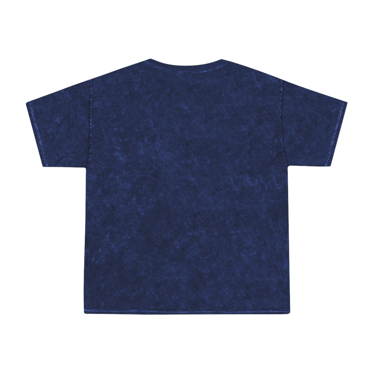 Our Heroes Collection - One Nation - Mineral Wash T-Shirt