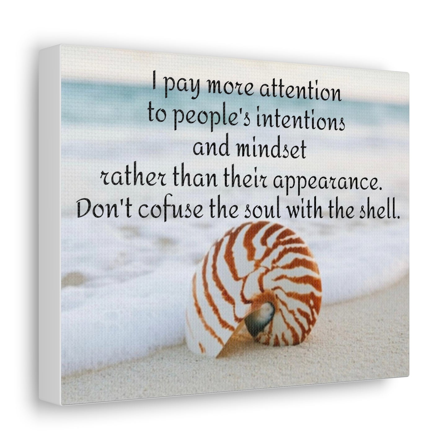 Shell Canvas- Angel Feathers Original, Southern Sass Collections. Canvas Gallery Wraps