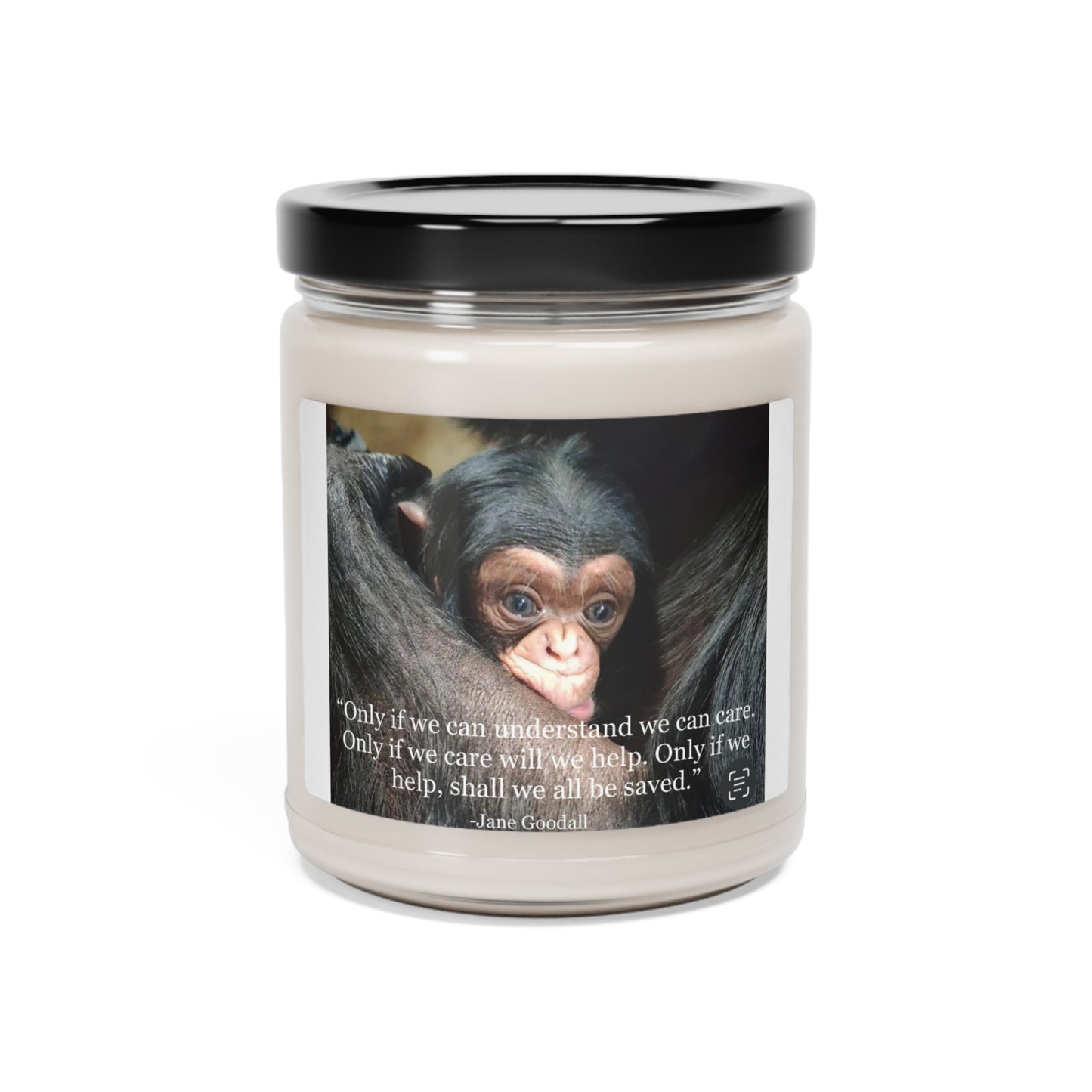 Angel Feathers Original design, Southern Sass. Jane Goodall Scented Soy Candle, 9oz
