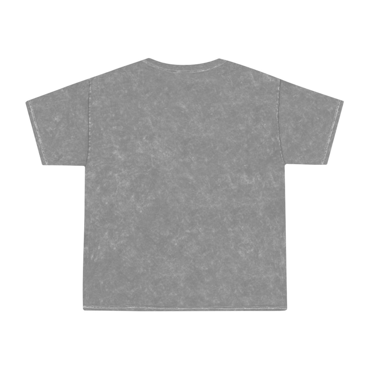 Our Heroes Collection - One Nation - Mineral Wash T-Shirt