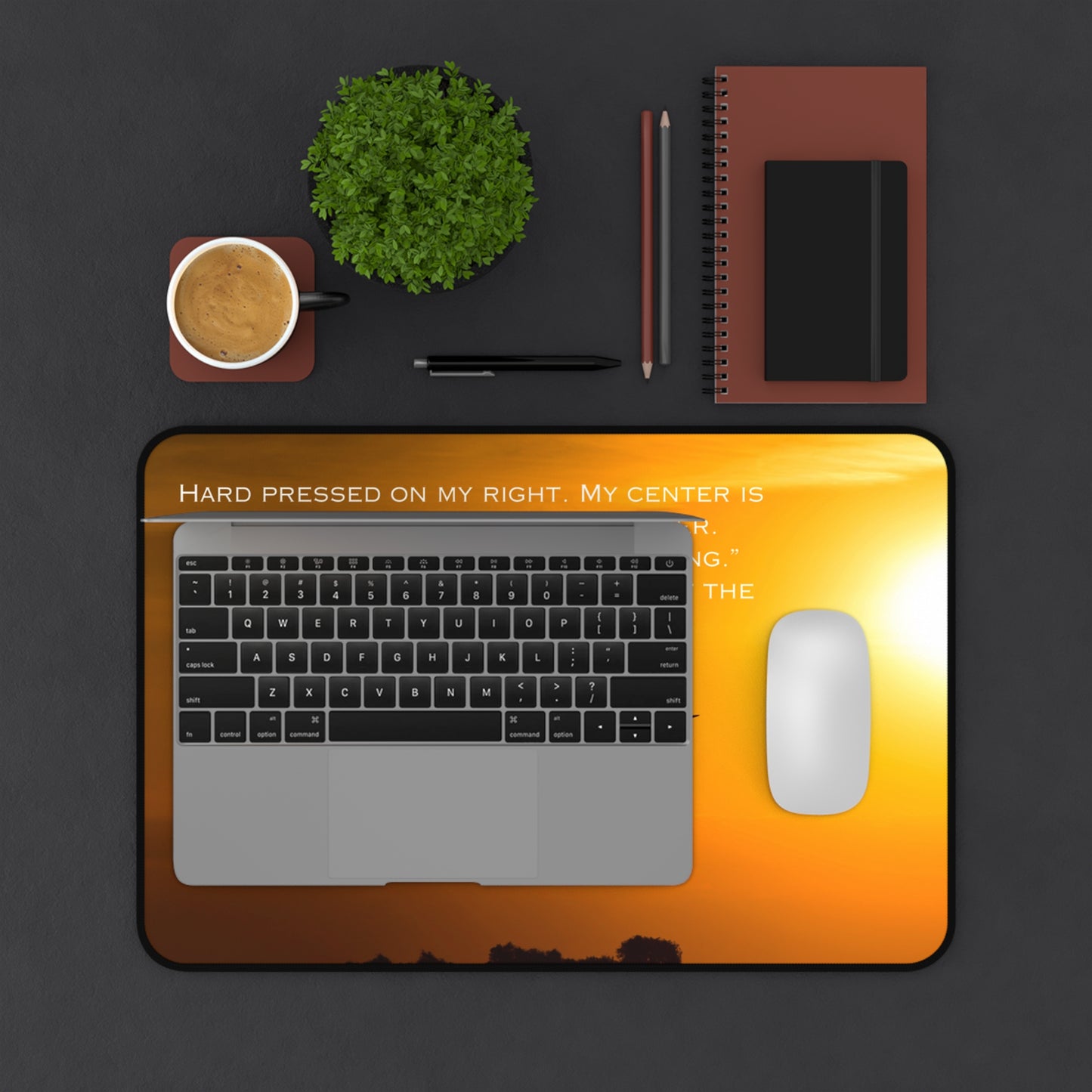 Our Hero's Collection - "Situation Excellent" Desk Mat