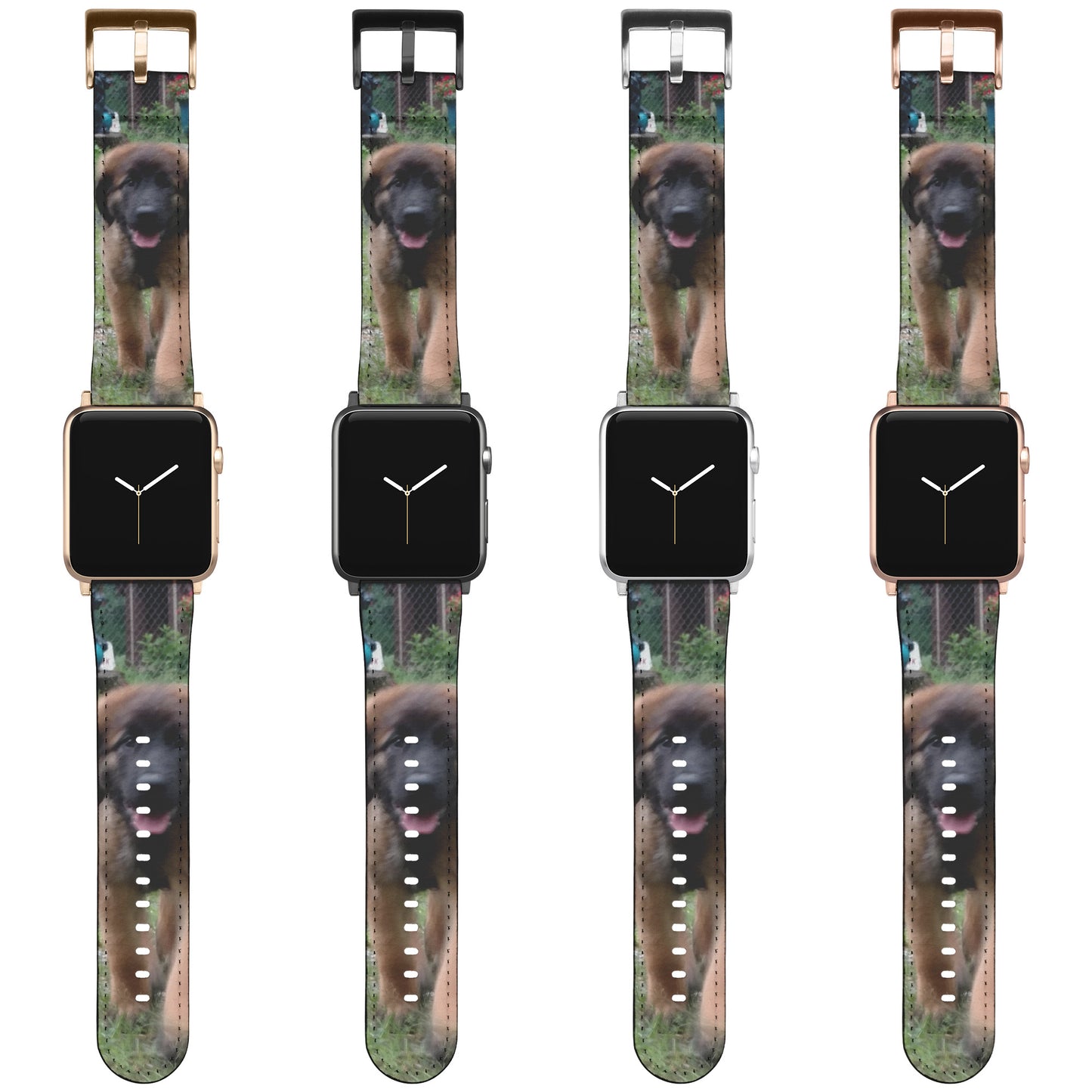 An Angel Feathers Originals - Apple Watch Leonburger strap