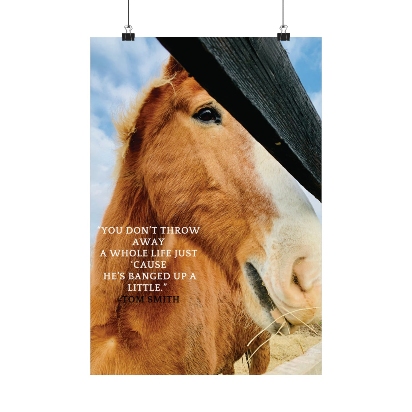 Our Southern Sass Collection - " Bob" - Matte Vertical Posters