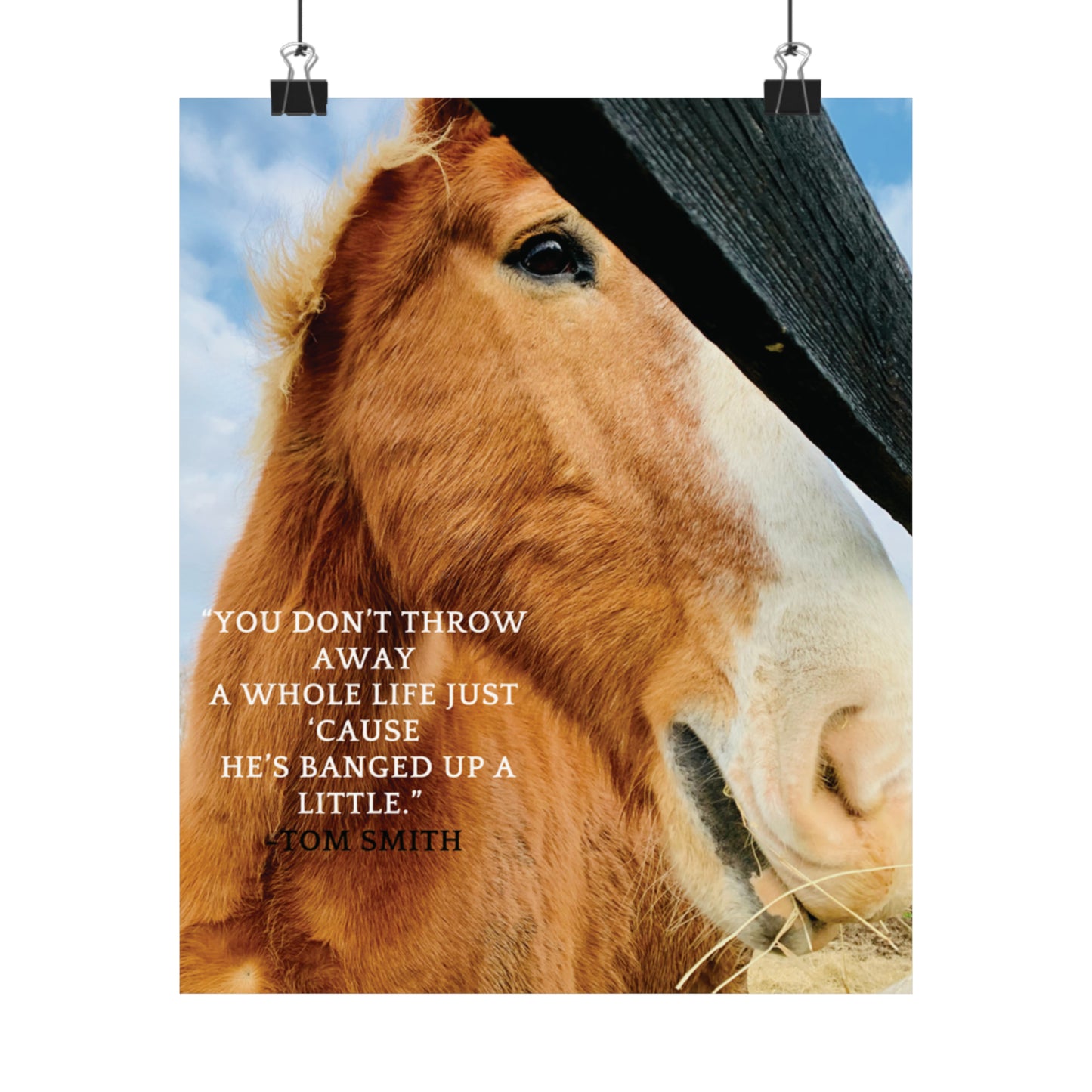 Our Southern Sass Collection - " Bob" - Matte Vertical Posters