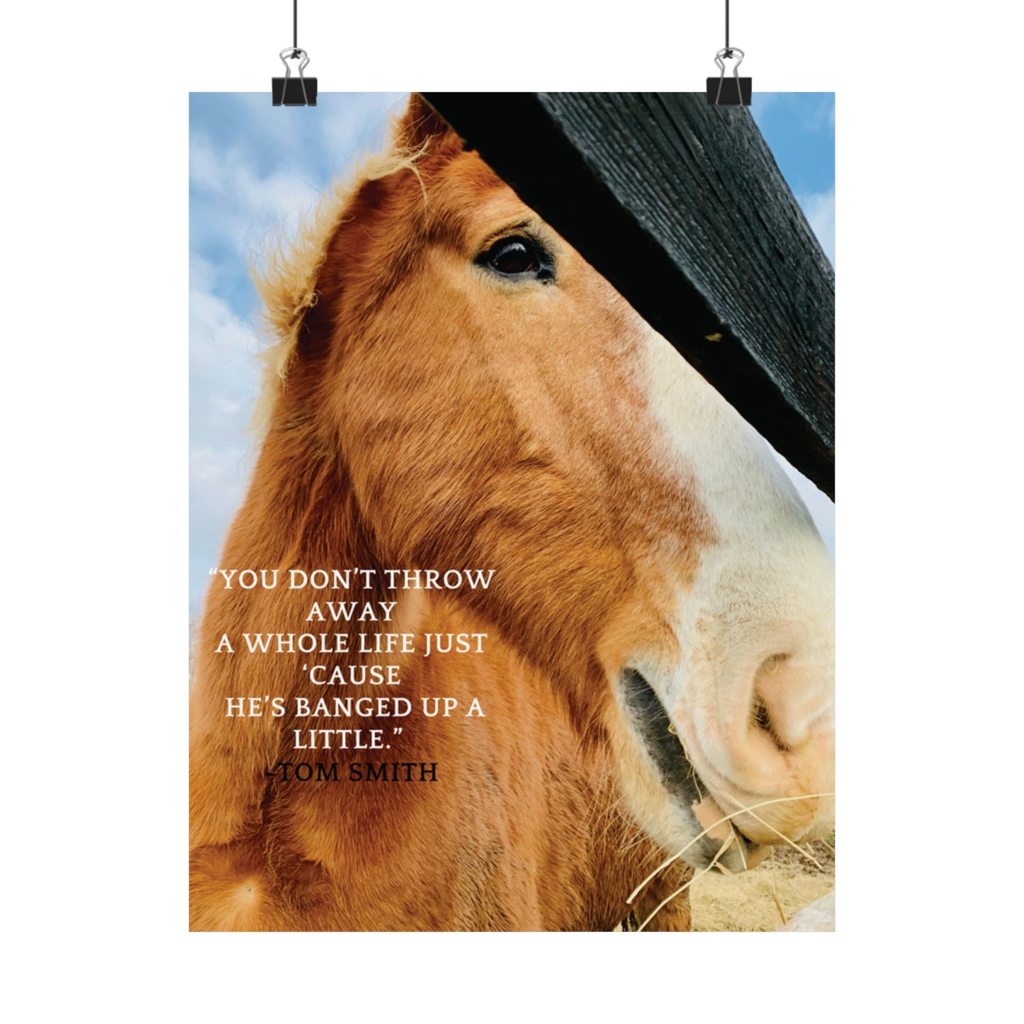 Our Southern Sass Collection - " Bob" - Matte Vertical Posters