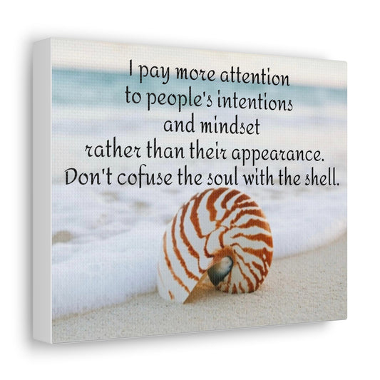 Shell Canvas- Angel Feathers Original, Southern Sass Collections.  Canvas Gallery Wraps