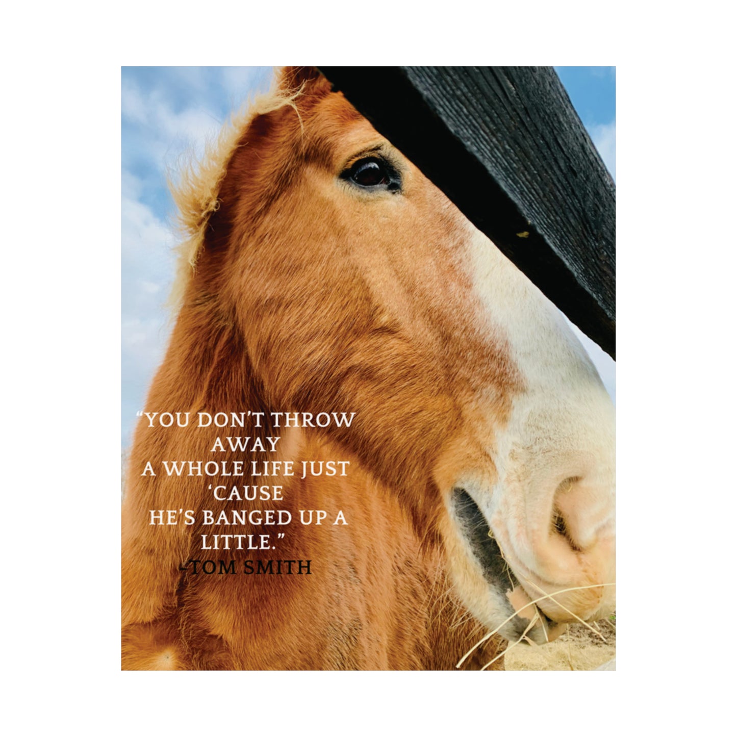 Our Southern Sass Collection - " Bob" - Matte Vertical Posters