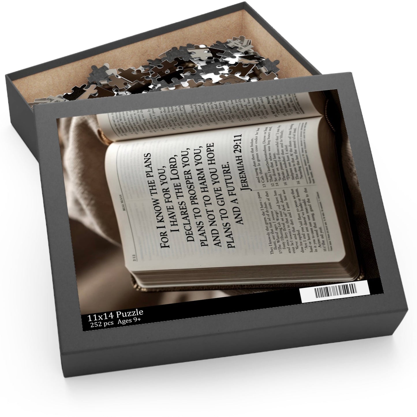 Bible Verse Puzzle Jeremiah 29:11 (120, 252-Piece)