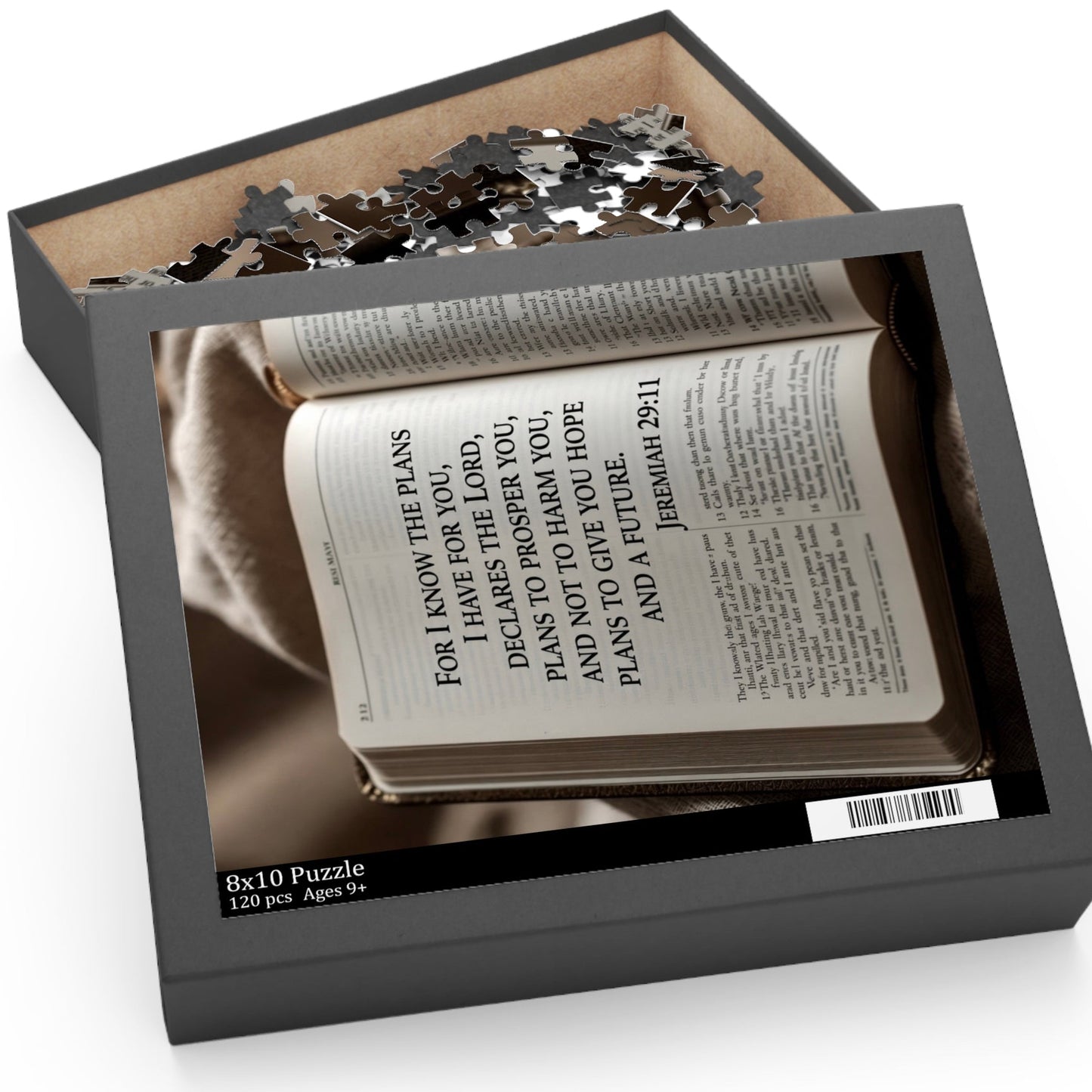 Bible Verse Puzzle Jeremiah 29:11 (120, 252-Piece)